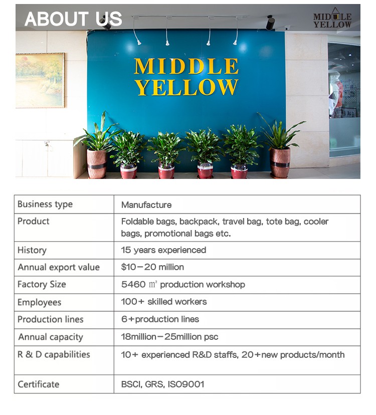 mesh beach bag company introduction